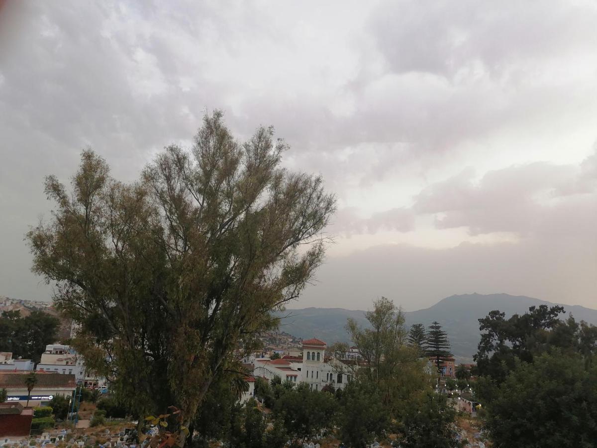 舍夫沙万Dar Sidi Mfedal公寓 外观 照片